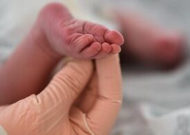 РПЦ призвала запретить суррогатное материнство