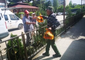 Более 250 тонн гуманитарной помощи беженцам и пострадавшим мирным жителям передала Симферопольская епархия с марта